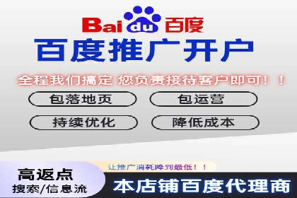 网络推广中的竞价广告：成功案例解析